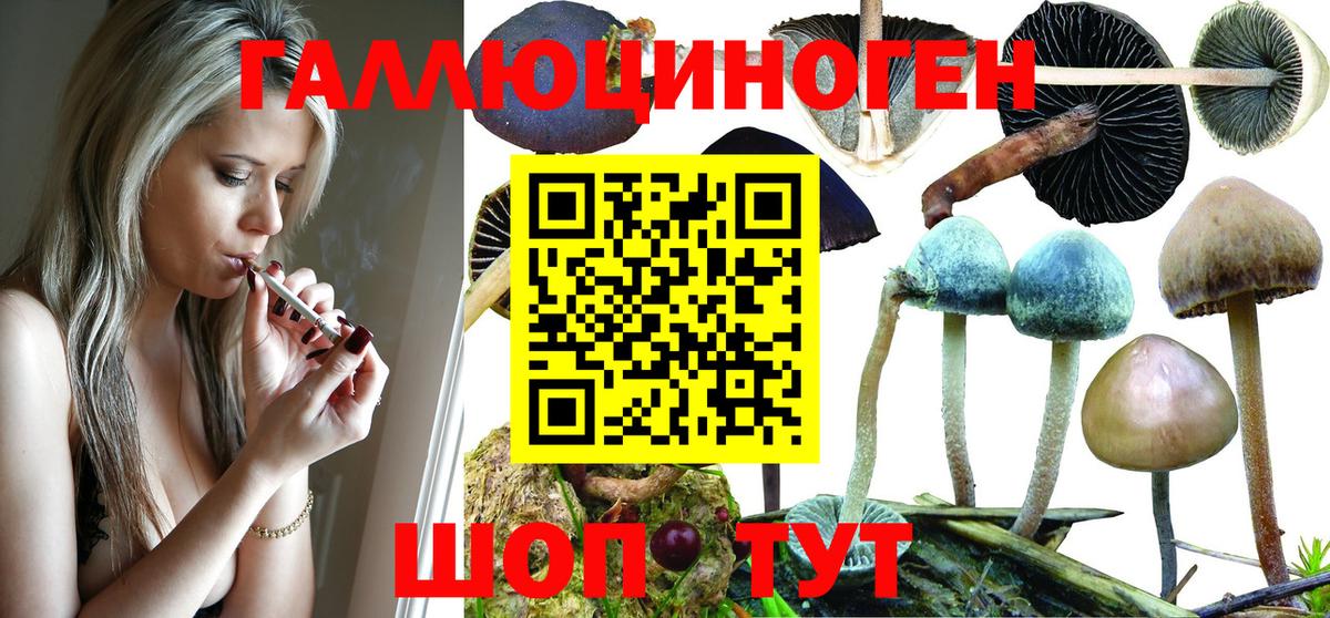 Галлюциногенные грибы MAGIC MUSHROOMS Новотроицк