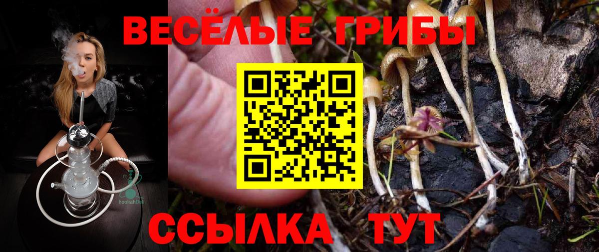 Псилоцибиновые грибы прущие грибы  Вход с VPN  Новотроицк  Псилоцибиновые грибы мухоморы 